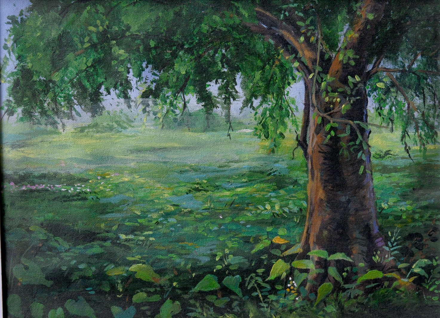 Under the Canopy